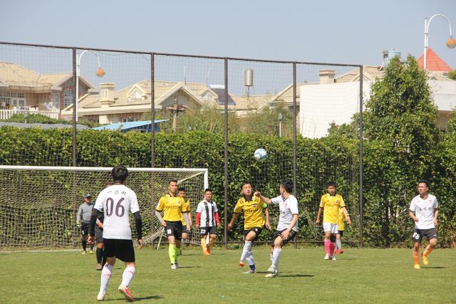 哈兰德本赛季英超前5轮10球 最近7轮仅2球